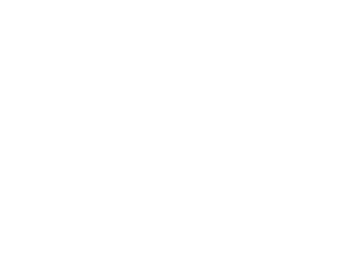 B-Fit